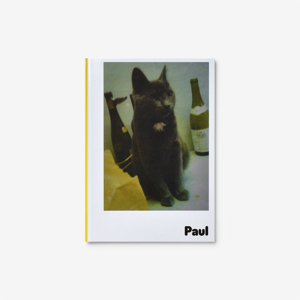 Alain Rappaport: Paul