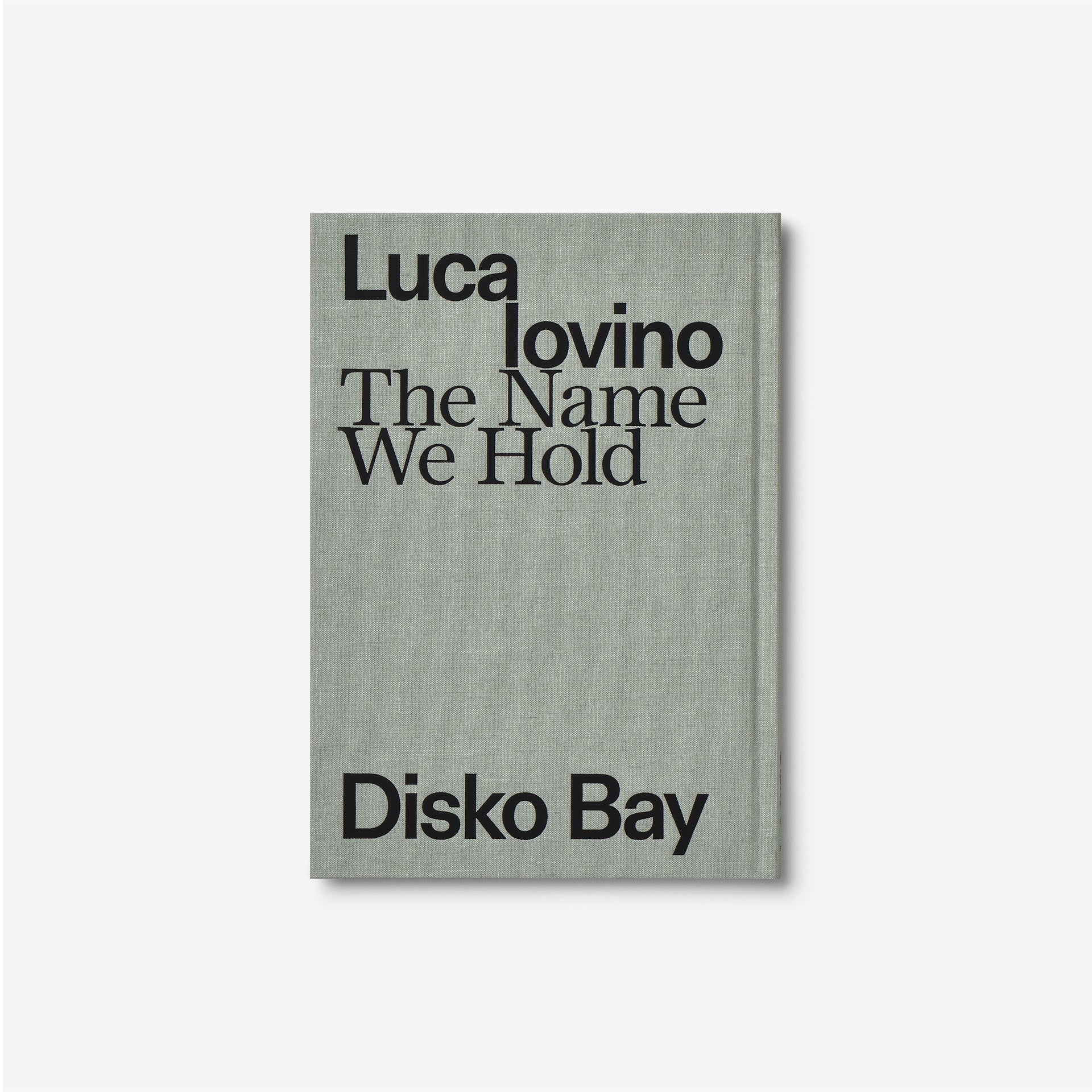 Luca Iovino: The Name We Hold